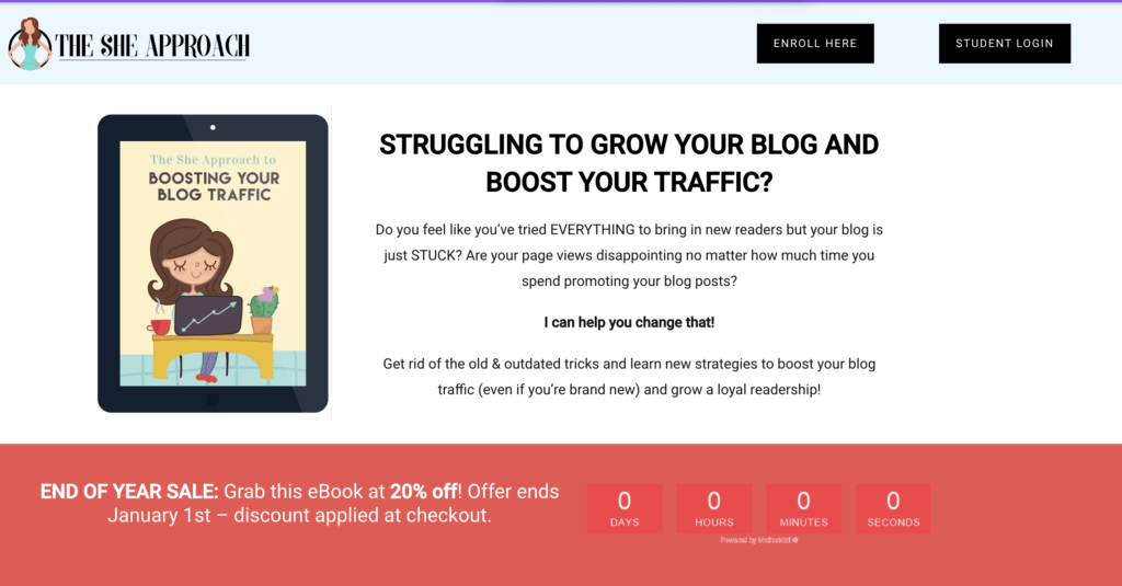she approach blog traffic bootcamp website