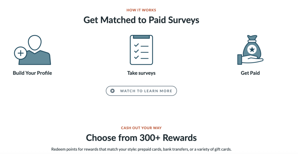 how branded surveys work