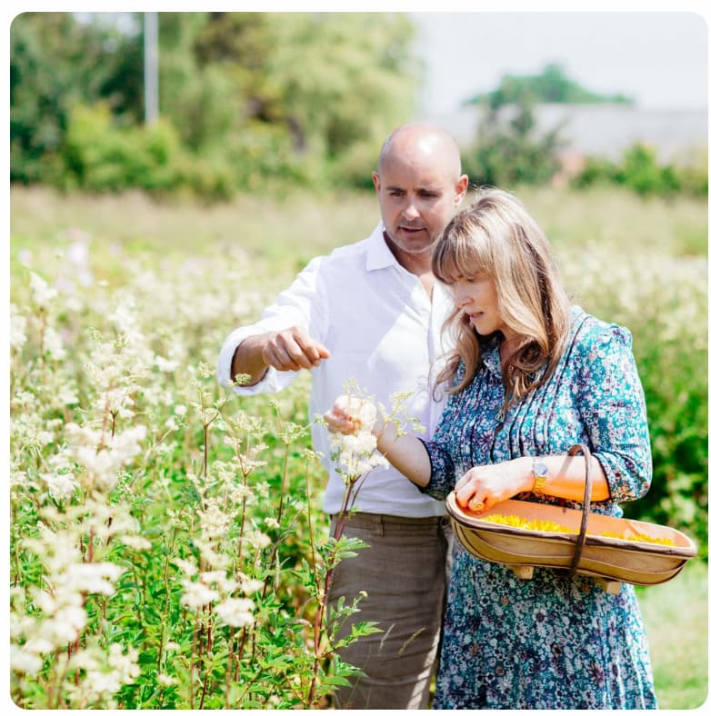 neals yard remedies about image