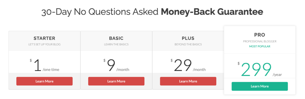 the blog village costs